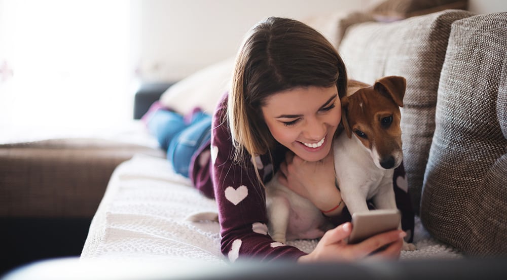 How to choose a pet friendly home
