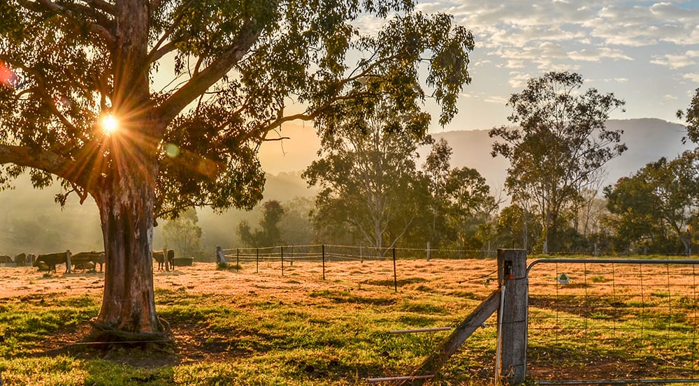 Your relationship with your rural property manager