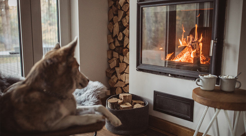 Five ways to create the perfect winter interior | Elders Real Estate