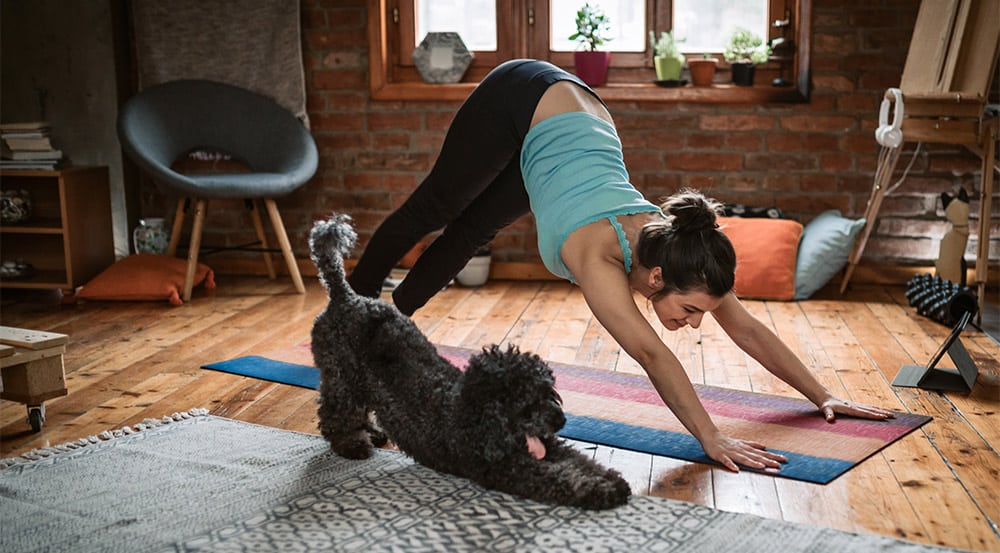 Keeping fit when you’re stuck at home