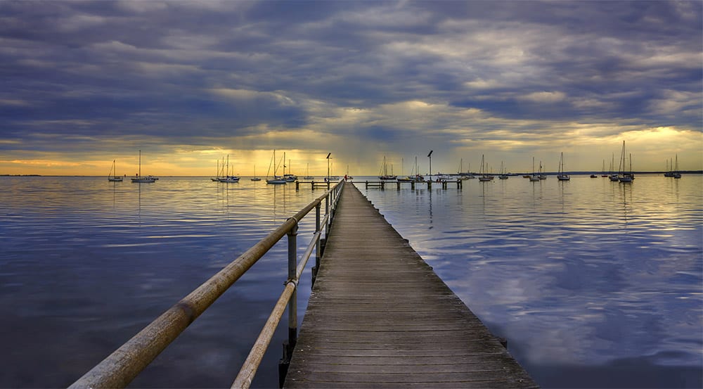 Geelong welcomes Anthony Stevens