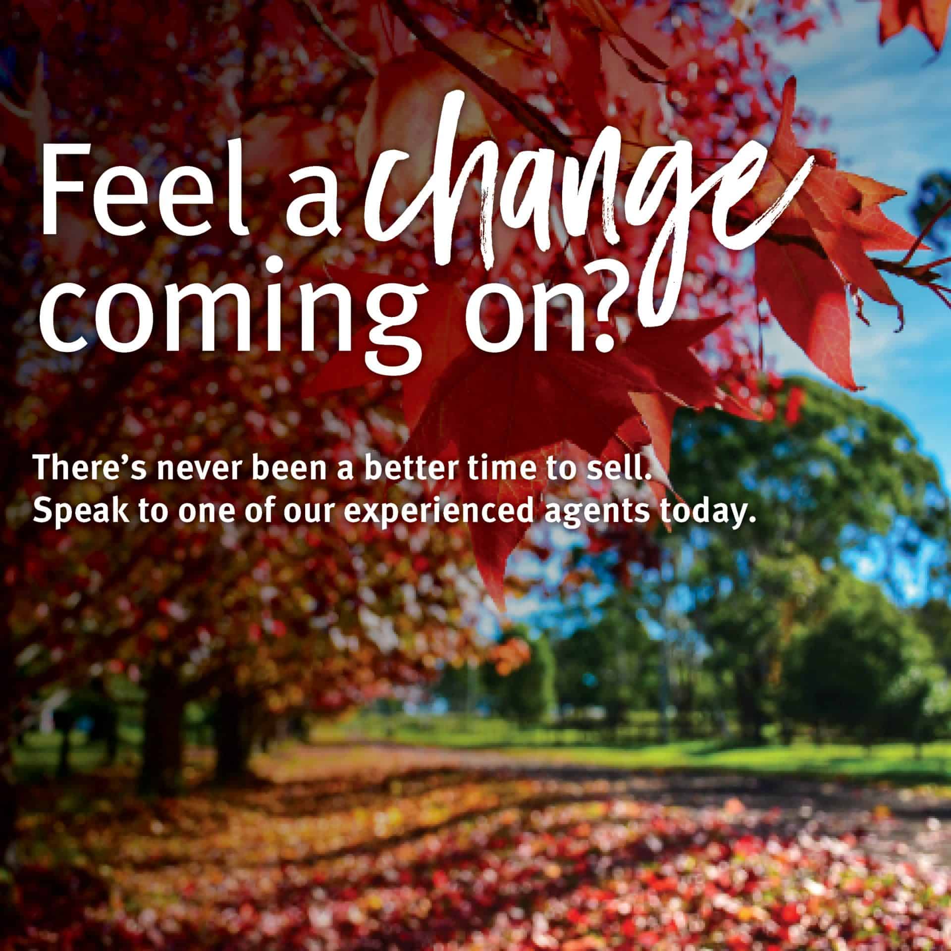 Autumn leaves falling