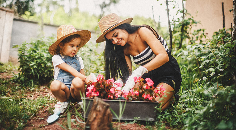 Get your garden springtime ready