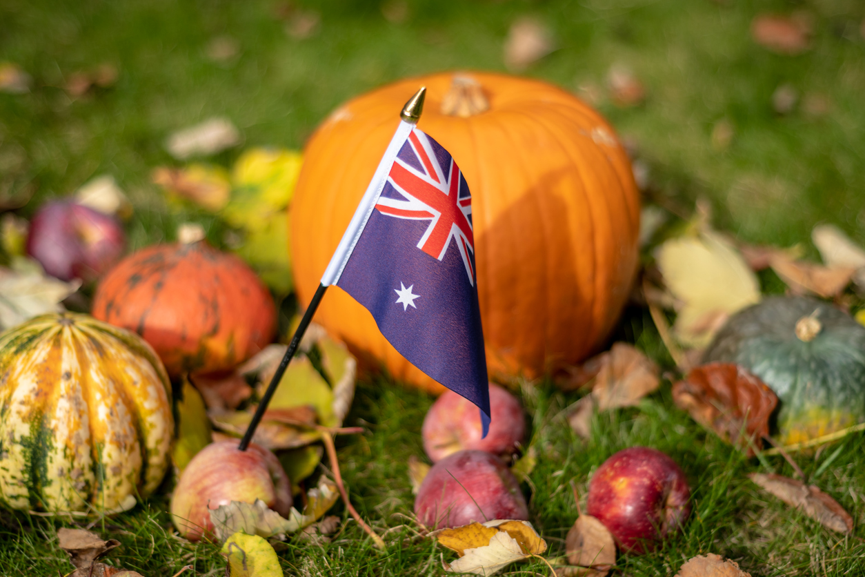Embracing Halloween Down Under: Australian Home Decorating Tips for 2023  Elders Real Estate