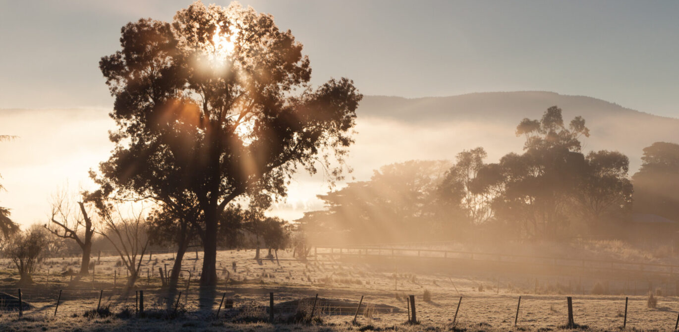 How to Create a Cosy but Stylish Home this Winter