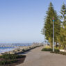 A Bumper Year for Bunbury