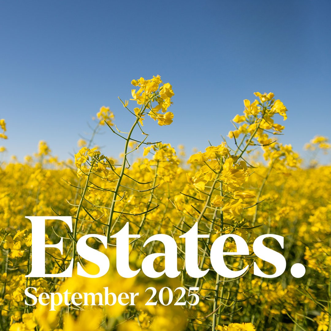Estates September 2025