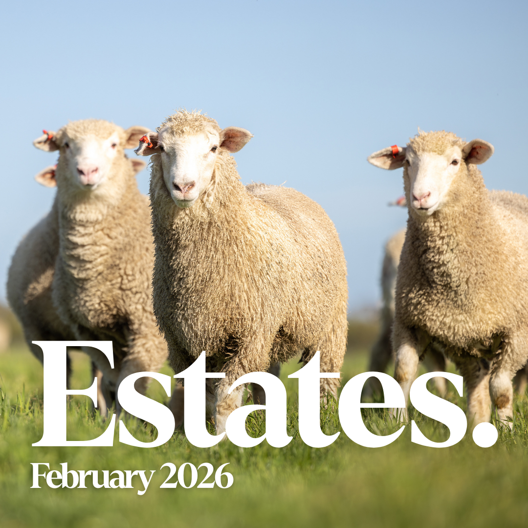 Estates Feb 2026